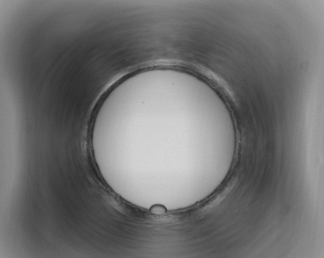 X0000111511170200907141058
