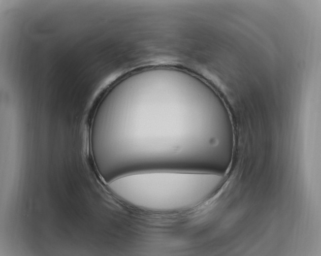 X0000111511171200907141058