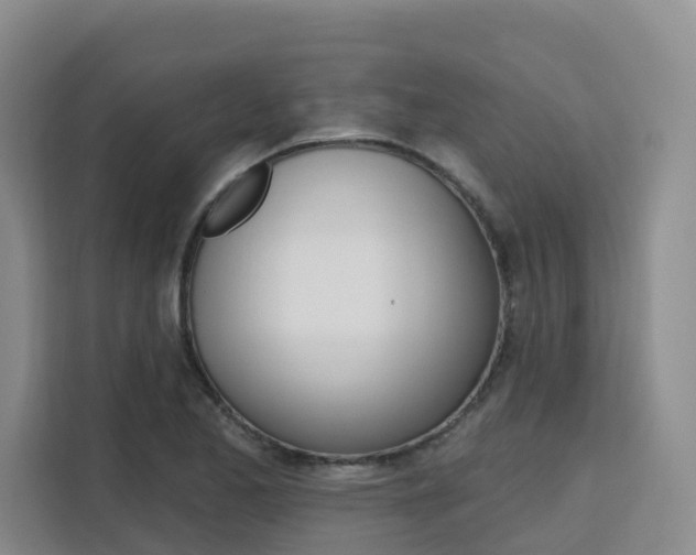 X0000111511173200907141058