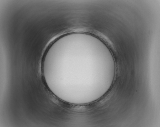 X0000111511174200907141058