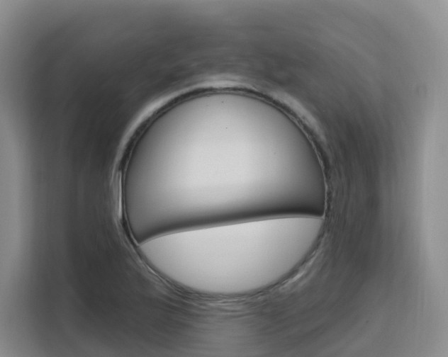 X0000111511175200907141058