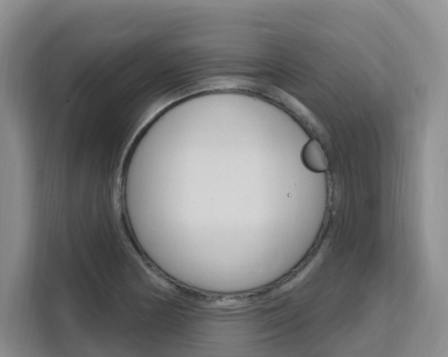 X0000111511178200907141058