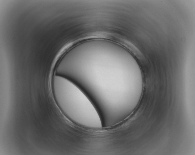X0000111511180200907141058