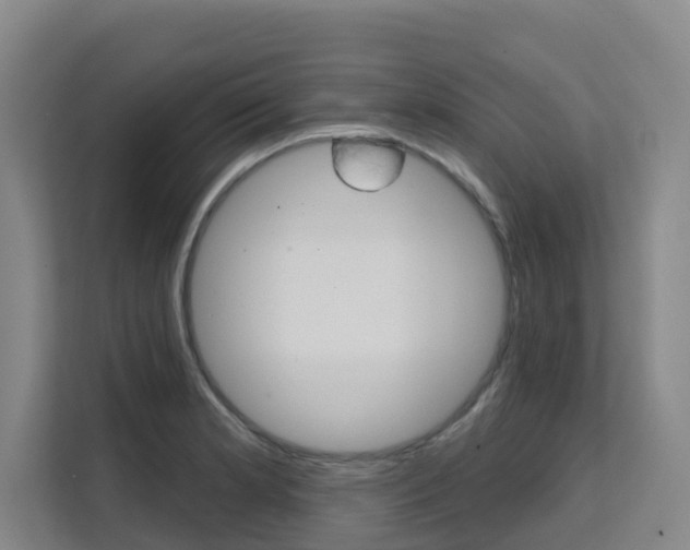 X0000111511181200907141058