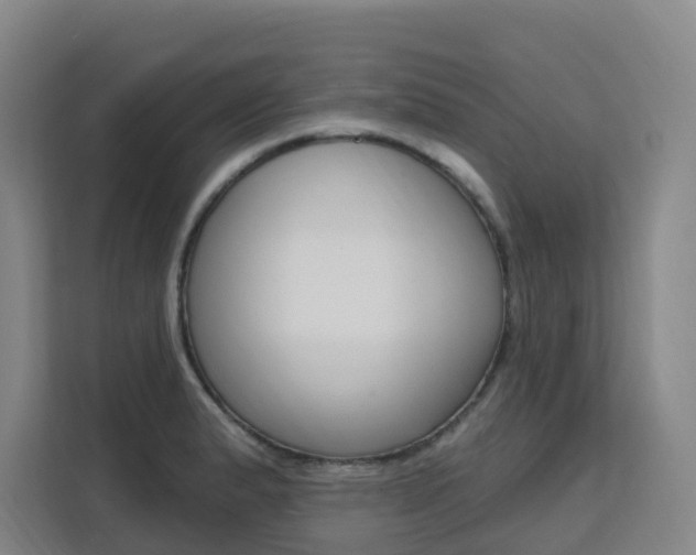 X0000111511183200907141058