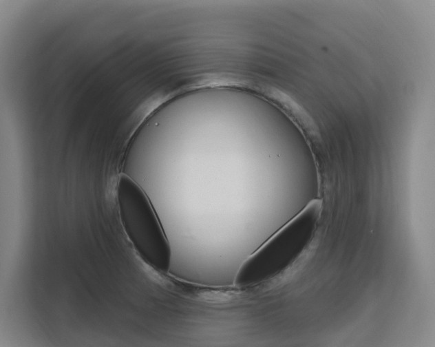 X0000111511185200907141058