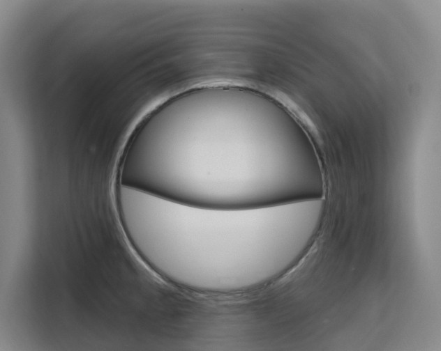 X0000111511189200907141058