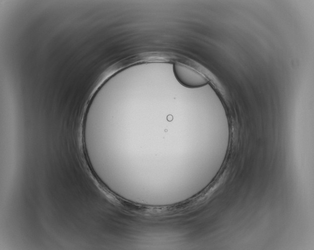 X0000111511194200907141058