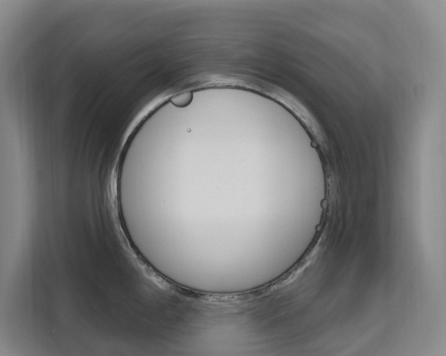 X0000111511198200907141057