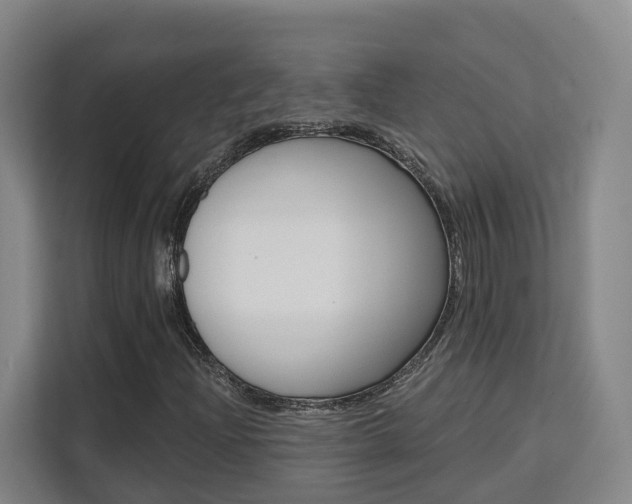 X0000111511204200907141057