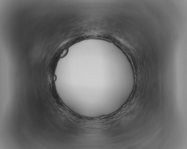 X0000111511206200907141057
