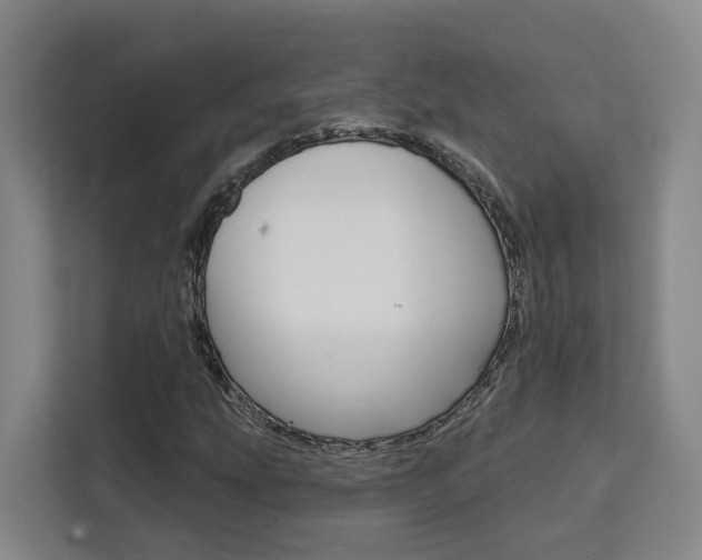 X0000111511207200907141057