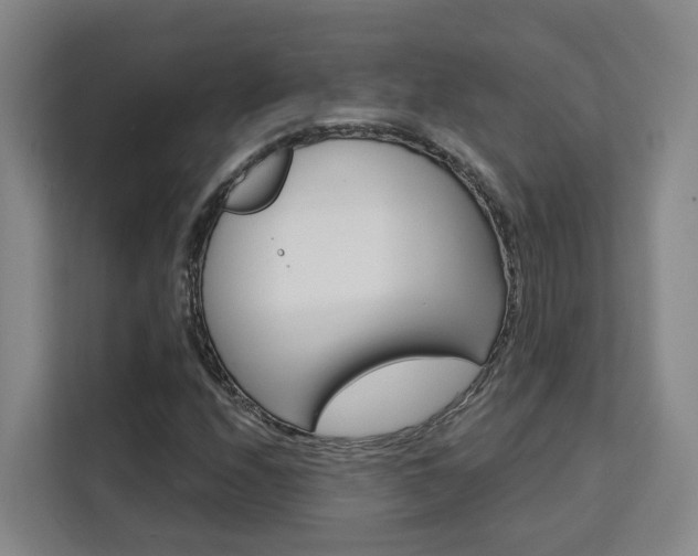 X0000111511208200907141057
