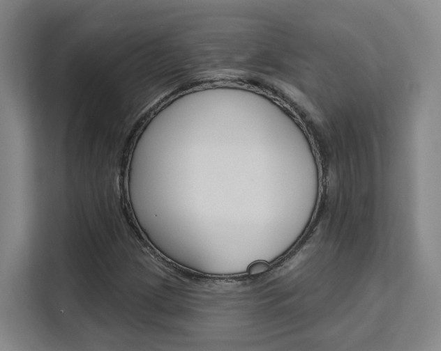 X0000111511209200907141057