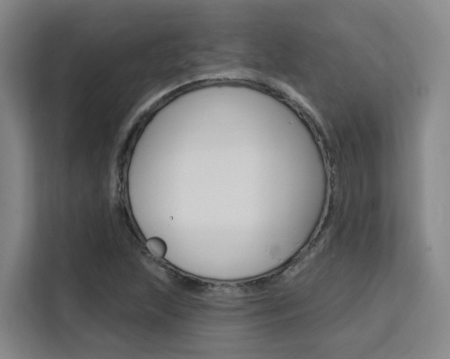 X0000111511215200907141057