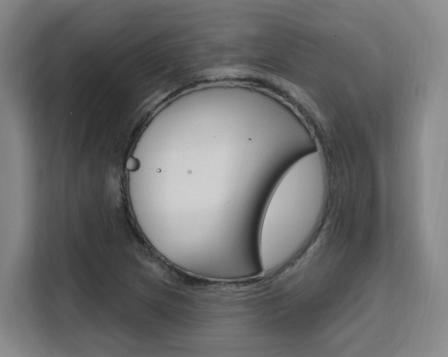 X0000111511217200907141057