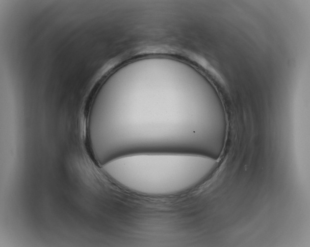 X0000111511221200907141057