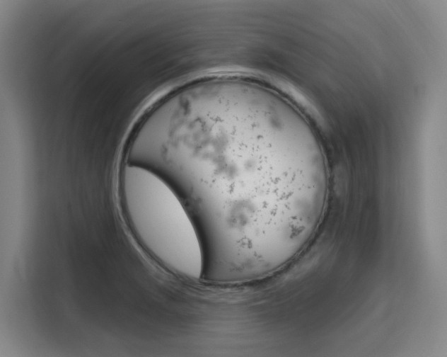 X0000111511229200907141057