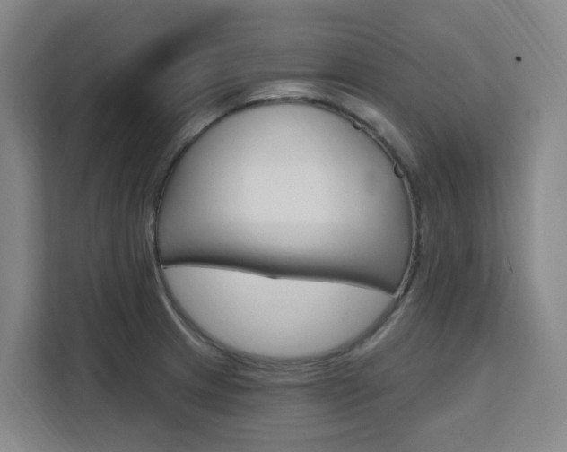 X0000111511233200907141057