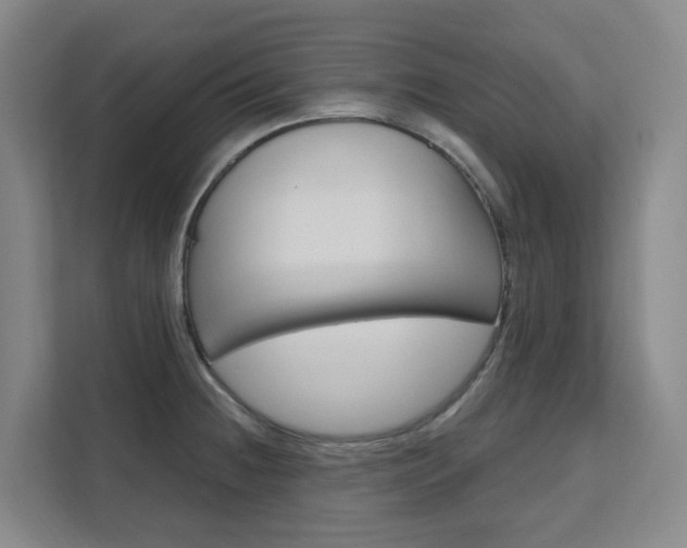 X0000111511236200907141057