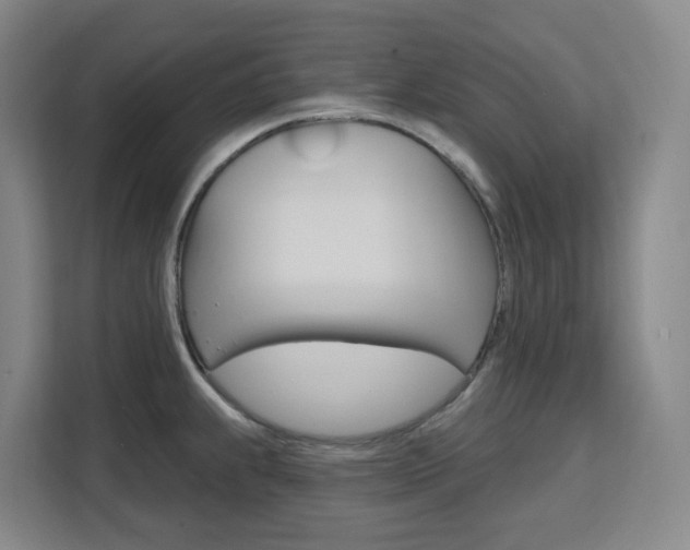 X0000111511239200907141057