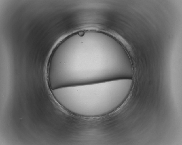 X0000111511240200907141057