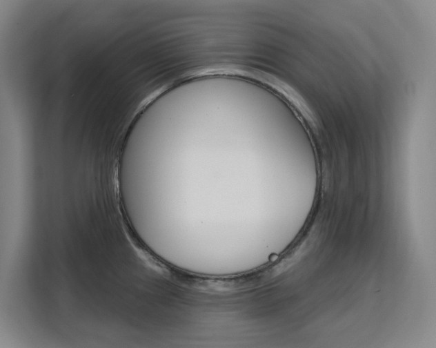X0000111511241200907141057