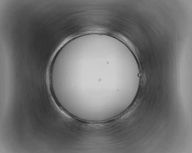X0000111511243200907141057