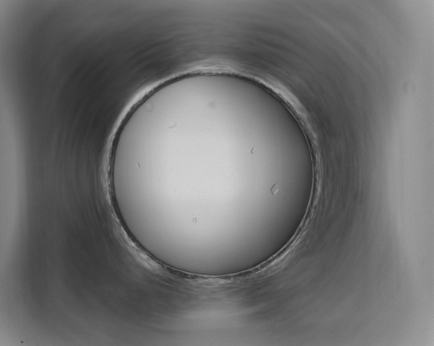 X0000111511248200907141057