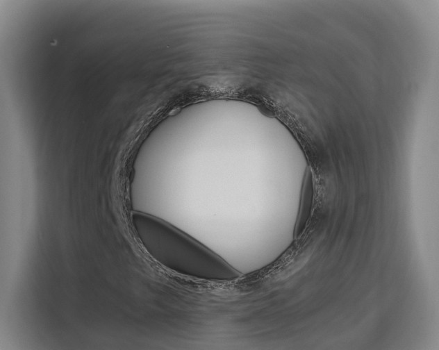 X0000111511249200907141057