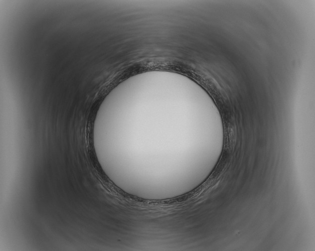 X0000111511250200907141057