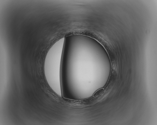 X0000111511252200907141057