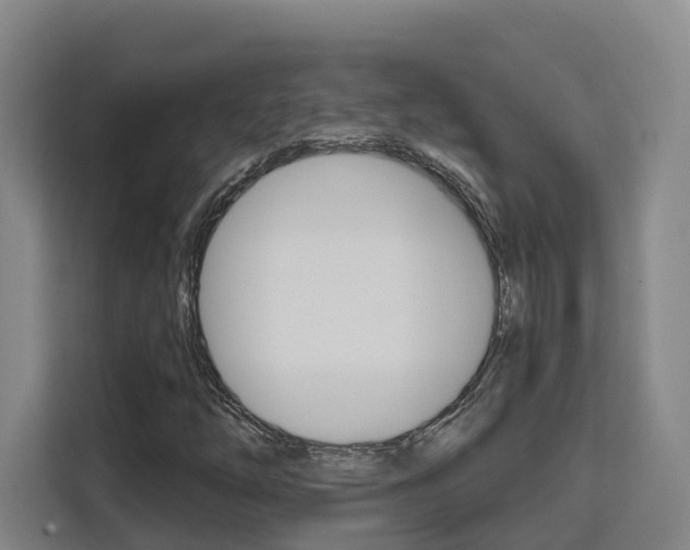 X0000111511254200907141057
