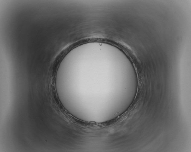 X0000111511255200907141057