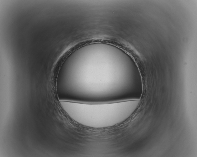 X0000111511256200907141057