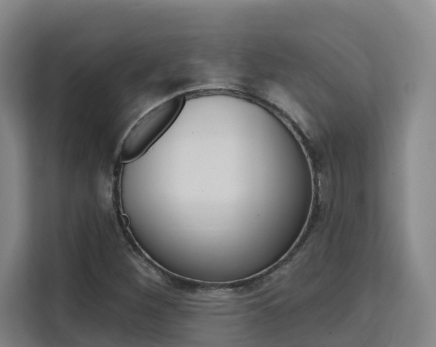 X0000111511260200907141057