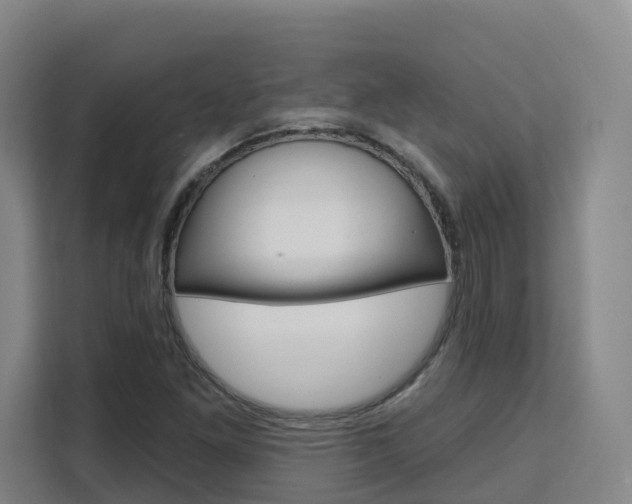 X0000111511261200907141057