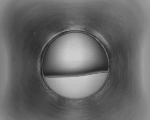 X0000111511268200907141057