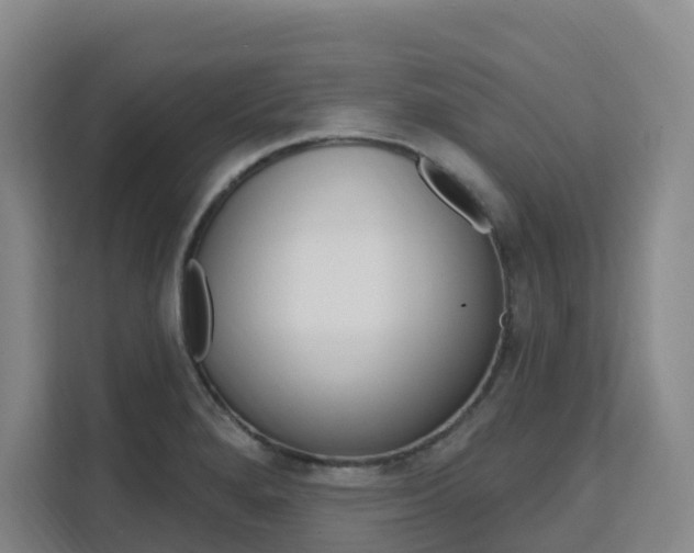 X0000111511280200907141056
