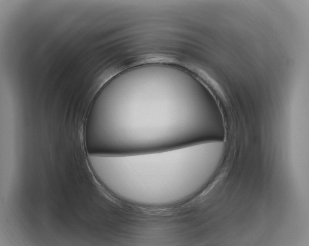 X0000111511281200907141056