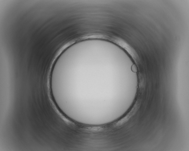 X0000111511282200907141056
