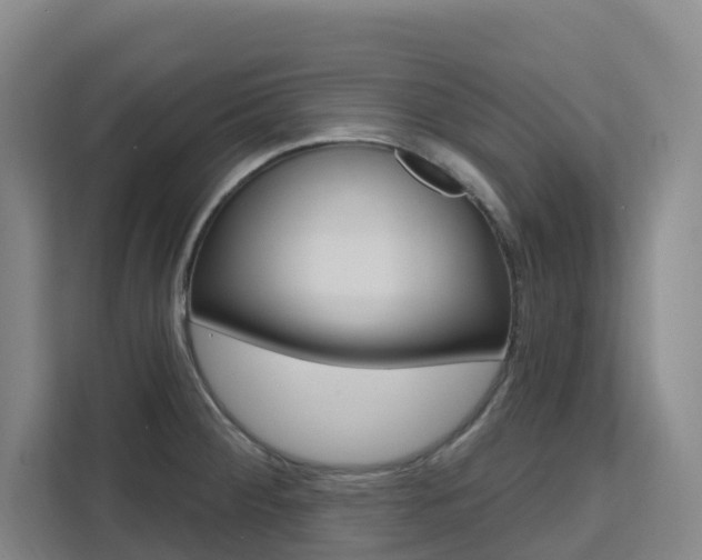 X0000111511284200907141056