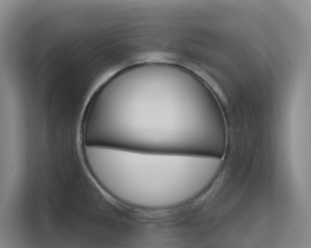 X0000111511285200907141056