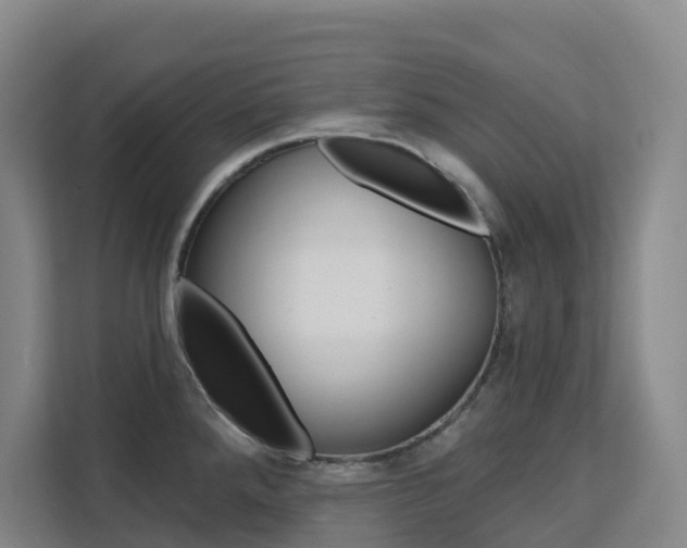 X0000111511288200907141056