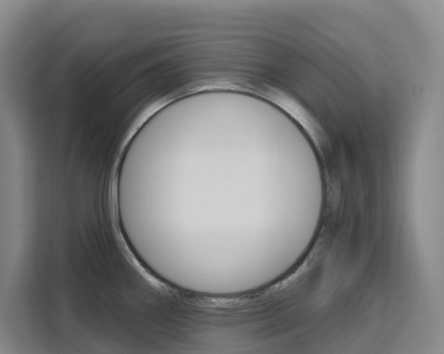 X0000111511290200907141056