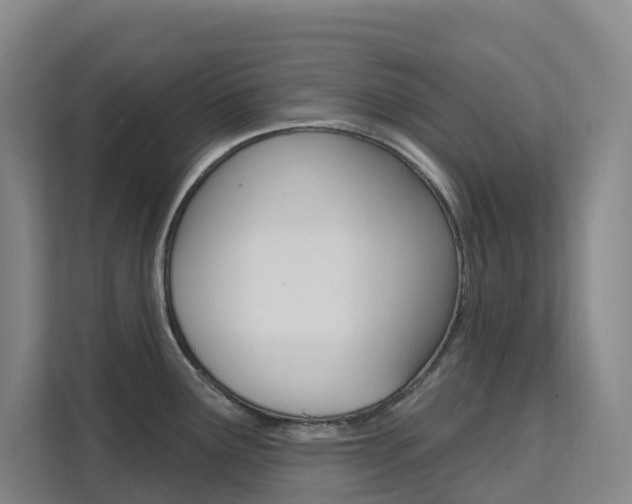 X0000111511291200907141056