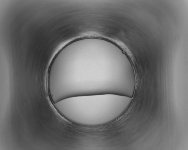 X0000111511295200907141056