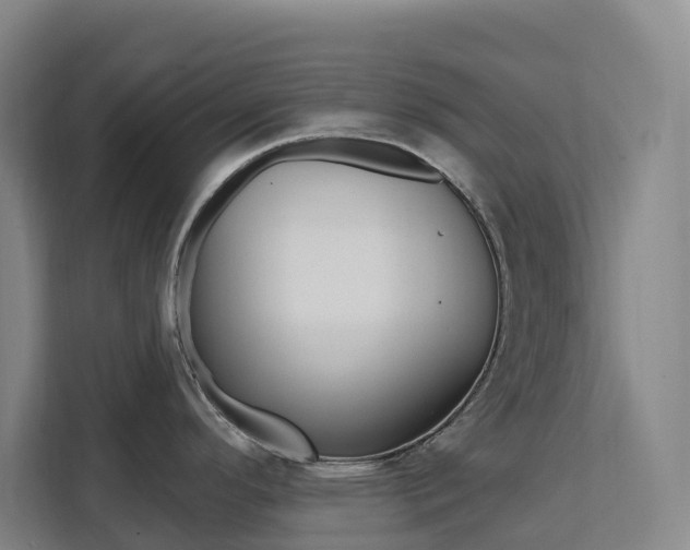 X0000111511296200907141056