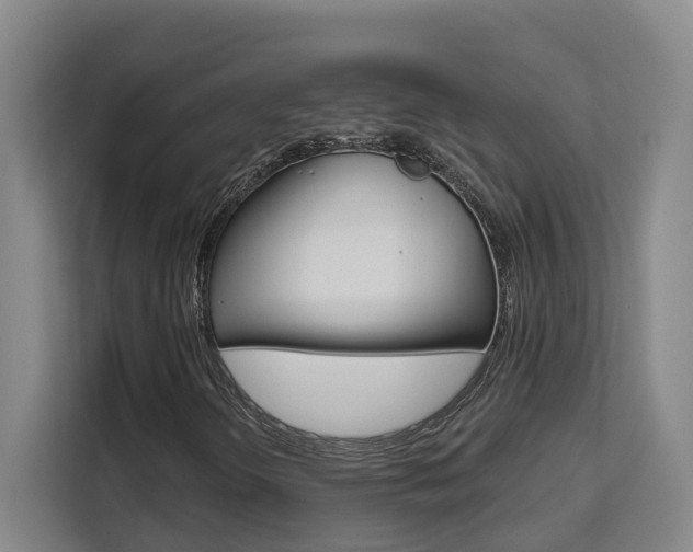 X0000111511298200907141056