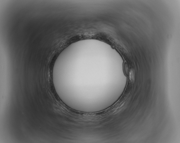 X0000111511299200907141056